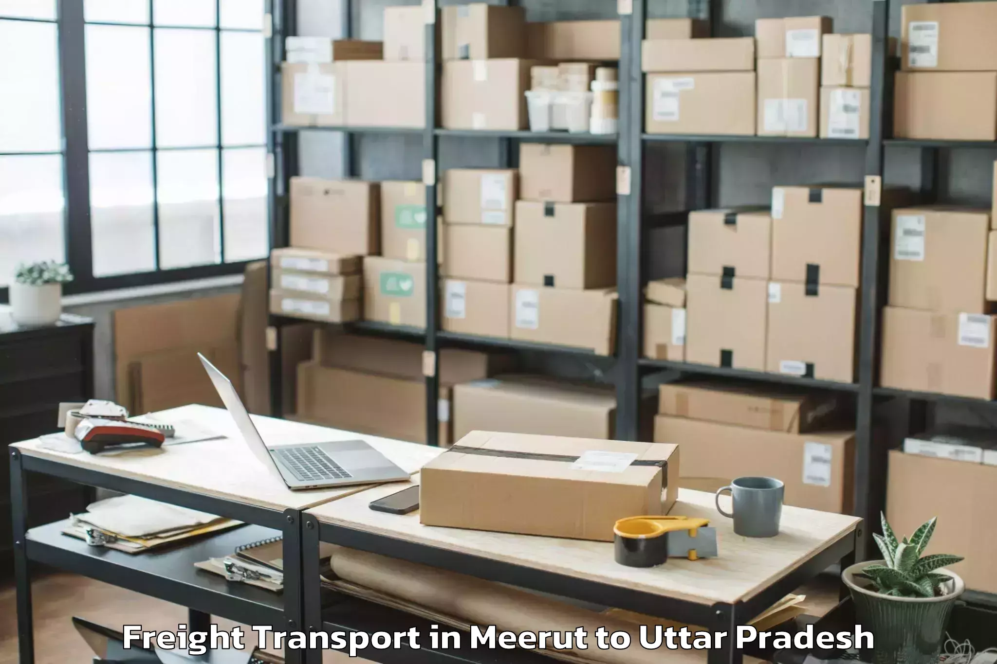 Top Meerut to Afzalgarh Freight Transport Available